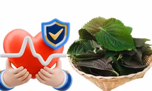 Loại rau quen thuộc trong bữa ăn Việt giúp cải thiện sức khỏe