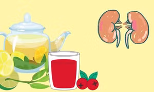 Thức uống bổ thận không thể bỏ qua trong cuộc sống hằng ngày