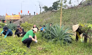 Sáng 6/6, toàn tỉnh ra quân vệ sinh môi trường, phát động cao điểm bảo vệ môi trường năm 2026