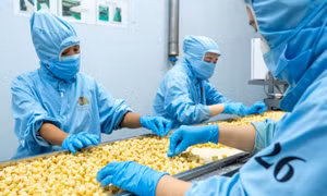Từ bỏ tư duy "phế phẩm, phụ phẩm" từ nông sản