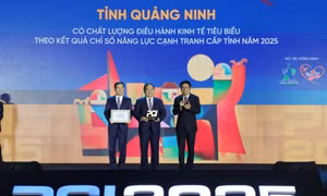 Đồng hành cùng doanh nghiệp phát triển