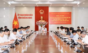 Đảng bộ UBND tỉnh sơ kết công tác 6 tháng đầu năm