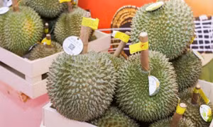 Nam Ninh (Quảng Tây, Trung Quốc) đón lô trái cây ASEAN quy mô lớn