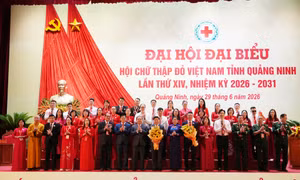 Xây dựng Hội Chữ thập đỏ tỉnh trở thành trung tâm kết nối, điều phối nguồn lực nhân đạo của toàn tỉnh