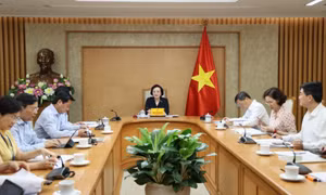 Phó Thủ tướng Phạm Thị Thanh Trà chỉ đạo hoàn thiện Đề án thành lập thành phố Quảng Ninh trình Trung ương chậm nhất ngày 5/7