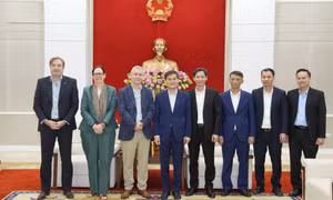 Chủ tịch UBND tỉnh tiếp xã giao Đại sứ Vương quốc Bỉ tại Việt Nam