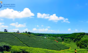 Khai thác du lịch trải nghiệm mới ở Đường Hoa 