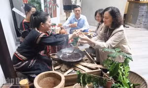 Buôn Ma Thuột được National Geographic vinh danh là một trong những điểm đến ẩm thực tốt nhất thế giới