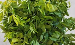 Loại rau giàu vitamin C nên ăn vào mùa hè