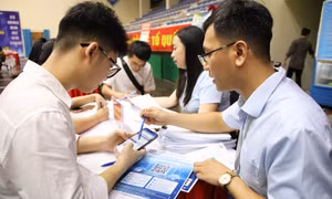 Phường Hạ Long tổ chức Ngày hội việc làm năm 2026
