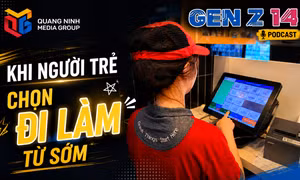 Gen Z 14: Khi người trẻ chọn đi làm từ sớm
