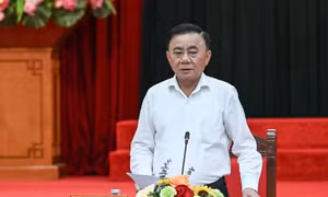 Chức năng, nhiệm vụ, tổ chức bộ máy, quy chế làm việc mẫu của đảng ủy các cơ quan đảng, đảng ủy ủy ban nhân dân cấp tỉnh