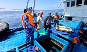 Cảnh sát biển bắt giữ tàu vận chuyển trái phép hơn 150.000 lít dầu D.O