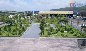 Tuyển than Hòn Gai gắn sản xuất với bảo vệ môi trường