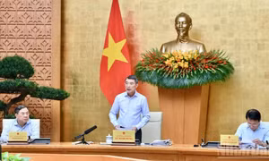 Tập trung chỉ đạo, khẩn trương hoàn thiện các dự án luật, nghị quyết, bảo đảm tiến độ và chất lượng