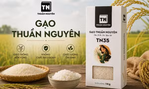 Người tiêu dùng miền Bắc ngày càng ưu tiên gạo có nguồn gốc rõ ràng và chất lượng ổn định