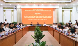 Đầu tháng 7 khai quật khu mộ tập thể liệt sĩ tại Công viên Lê Thị Riêng