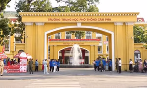 Xử lý vi phạm Quy chế thi tại Điểm thi Trường THPT Cẩm Phả