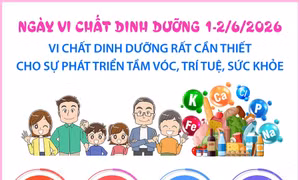 Vi chất dinh dưỡng rất cần thiết cho sự phát triển tầm vóc, trí tuệ, sức khỏe