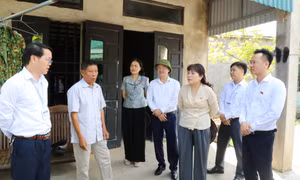 Đoàn ĐBQH tỉnh khảo sát việc thực hiện chính sách, pháp luật về đất đai tại xã Hoành Mô