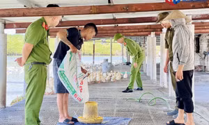 Hỗ trợ người sau cai nghiện tái hòa nhập, ổn định cuộc sống