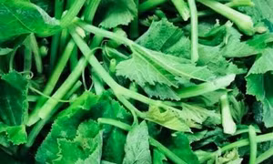 Bổ máu, mát da vào mùa hè bằng loại rau dễ tìm