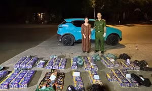 Vận chuyển lượng lớn pháo lậu bằng xe taxi, người phụ nữ sa lưới