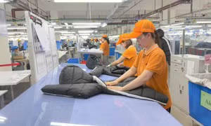 Quyết liệt thực hiện nhiệm vụ thu ngân sách