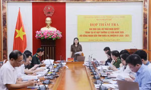 Thẩm tra các nội dung về pháp chế trình Kỳ họp thường lệ giữa năm 2026
