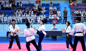 Ươm mầm tài năng thể thao