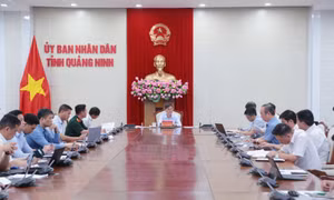 Triển khai các chỉ đạo của Trung ương về phát triển nhà ở cho thuê