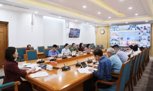 Hội nghị trực tuyến toàn quốc về công tác bảo vệ trẻ em