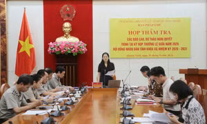 Ban Pháp chế HĐND tỉnh thẩm tra báo cáo của Thi hành án dân sự tỉnh