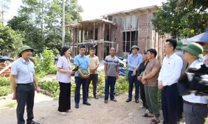 Đoàn ĐBQH tỉnh khảo sát thực hiện chính sách pháp luật về đất đai tại các xã Quảng Đức, Hải Sơn