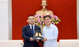 Chủ tịch UBND tỉnh Bùi Văn Khắng tiếp xã giao nhà đầu tư
