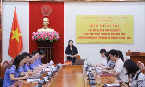 Ban Pháp chế HĐND tỉnh thẩm tra báo cáo của Viện Kiểm sát nhân dân tỉnh