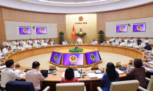 Thủ tướng Lê Minh Hưng: Tiếp tục rà soát, cắt giảm các thủ tục về môi trường, xây dựng, phòng cháy, chữa cháy