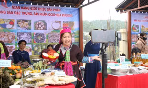 Hỗ trợ phụ nữ xây dựng gia đình hạnh phúc