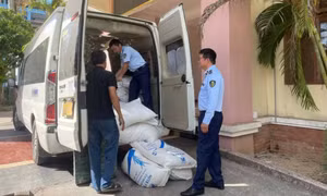 Liên tiếp phát hiện các vụ vận chuyển đường nhập lậu ở Quảng Trị