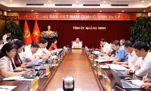Ban Thường vụ Tỉnh ủy cho ý kiến về phương án sắp xếp lại thôn, bản, khu phố