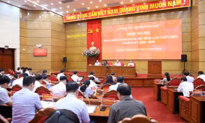 Ban Chấp hành Đảng bộ tỉnh thông qua đề án sắp xếp các đơn vị thuộc UBND tỉnh