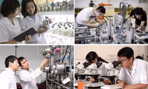 14 lĩnh vực người có chức vụ không được thành lập doanh nghiệp sau khi thôi chức