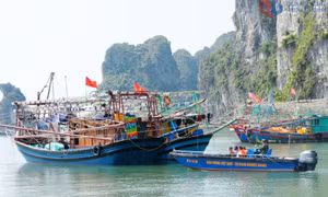 Cần sớm bố trí khu neo đậu tạm thời cho tàu, thuyền nghề cá