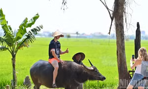 Hành trình chuyển mình mạnh mẽ của du lịch Việt Nam