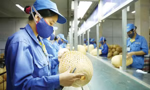 Đề xuất mở rộng đối tượng hưởng thuế suất ưu đãi với doanh nghiệp nhỏ và vừa