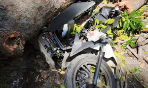 Cành cây cổ thụ gãy, đè trúng người đi đường