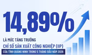 14,89% - là mức tăng trưởng chỉ số sản xuất công nghiệp (IIP) của tỉnh Quảng Ninh trong 5 tháng đầu năm 2026