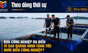 Theo dòng thời sự ngày 29/6: Đưa công nghiệp ra biển - Vì sao Quảng Ninh tăng tốc nuôi biển công nghiệp?