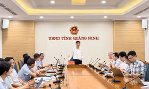Đẩy nhanh tiến độ xây dựng cơ sở dữ liệu đất đai trên địa bàn tỉnh
