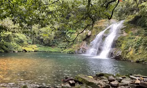 Du lịch rừng - Cánh cửa rộng mở của Hoành Mô